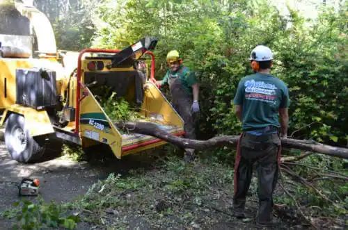 tree services Goshen